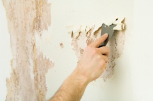 Lookout Mountain wallpaper removal information